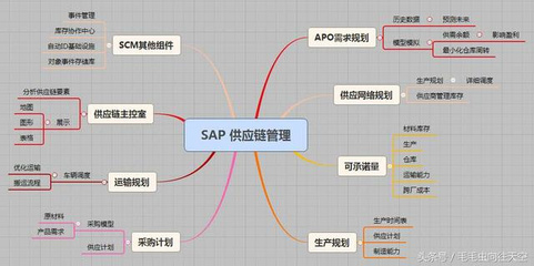 供應(yīng)鏈管理及其SAP業(yè)務(wù)情景概述